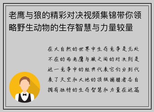 老鹰与狼的精彩对决视频集锦带你领略野生动物的生存智慧与力量较量